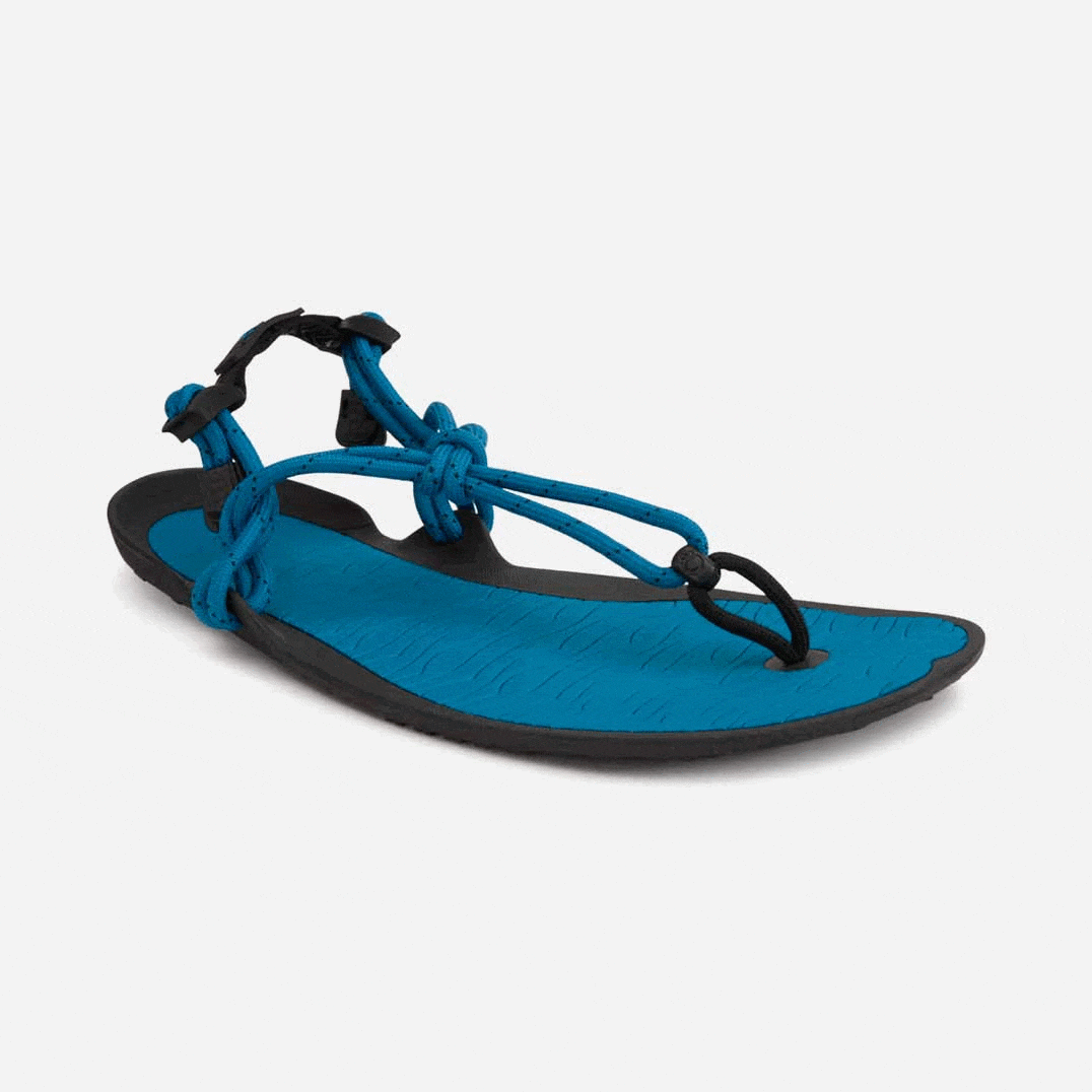 The new Aqua Cloud